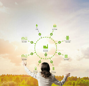 Overview of the AMPERIX® EMS from Wendeware