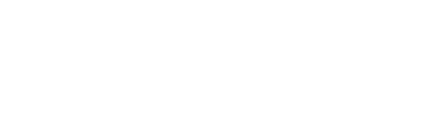 Schematic drawing, which explains how the Watchdog works: the output of the timer and the input WD are connected to an and gate of which output is connected to the reset 
