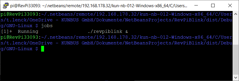 SSH console showing the output of the command "jobs": [1]+ Running ./revpiblink &